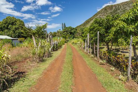 Voyage en Nouvelle Calédonie terre rouge île de Grande Terre un circuit routedelacaledonie.com