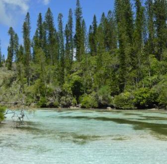 sejour circuit voyage caledonie piscine oro