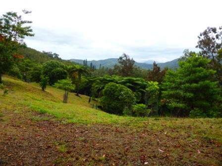 sejour voyage nouvelle caledonie parc fougeres