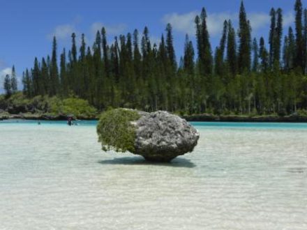 voyage-vacances-sejour caledonie piscine naturelle ile des pins