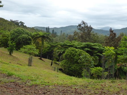 Parc des grandes fougères